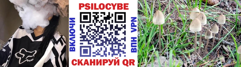 Галлюциногенные грибы Psilocybine cubensis  Кудымкар 