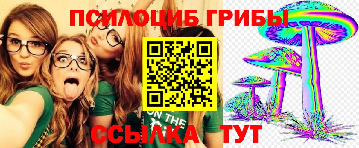 Галлюциногенные грибы MAGIC MUSHROOMS Кудымкар
