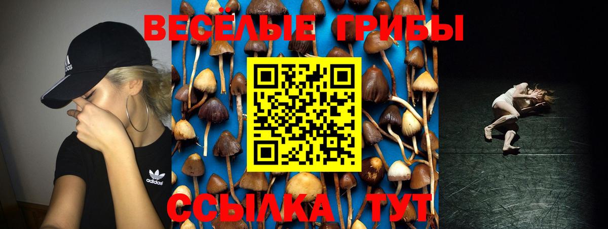 Кудымкар  A PVP СОЛЬ кристаллы  МЕТАДОН  Гашиш  Вход с VPN  НБОМе  Экстази  ТГК  Меф кристаллы  Марихуана  Каннабис 