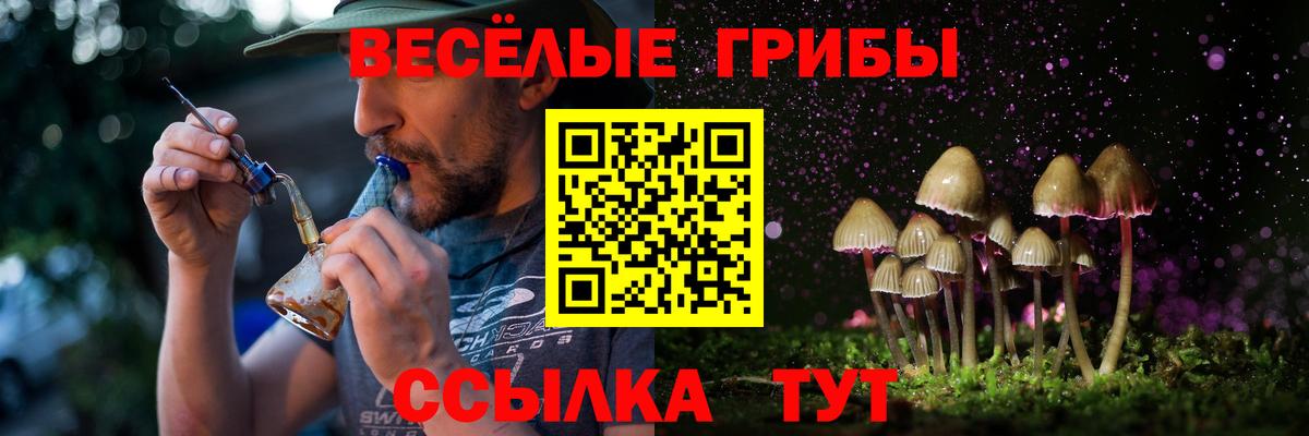 Галлюциногенные грибы Psilocybe  Галлюциногенные грибы мухоморы  цены наркотик  Вход с VPN  Кудымкар 