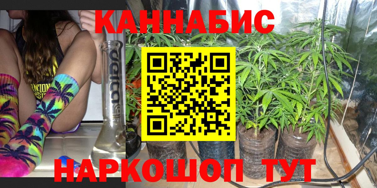 Бошки марихуана семена  Канабис конопля  Вход с VPN  Кудымкар  Канабис гибрид 